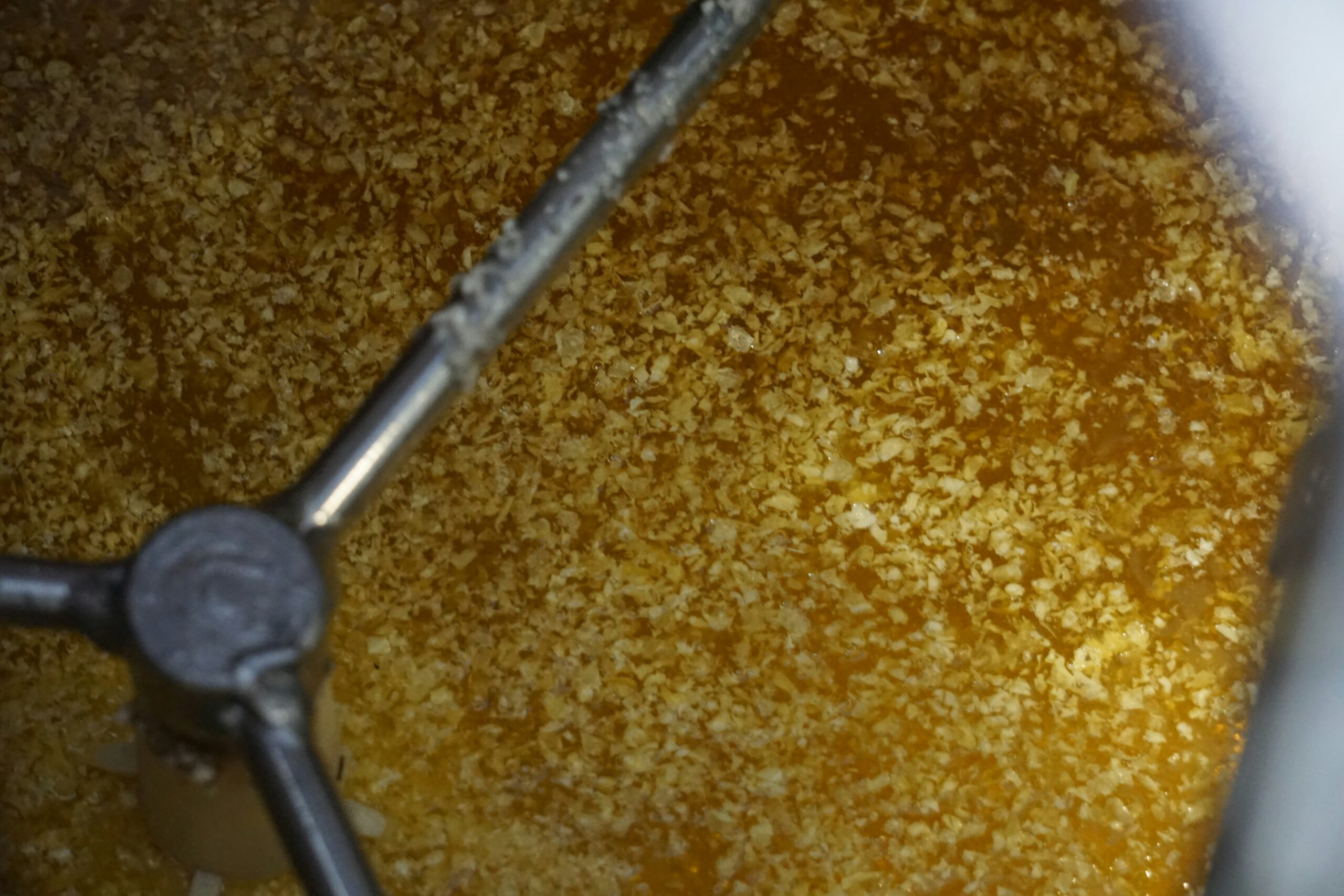 How to Brew Gose Beer at Home: A Complete Recipe and Guide