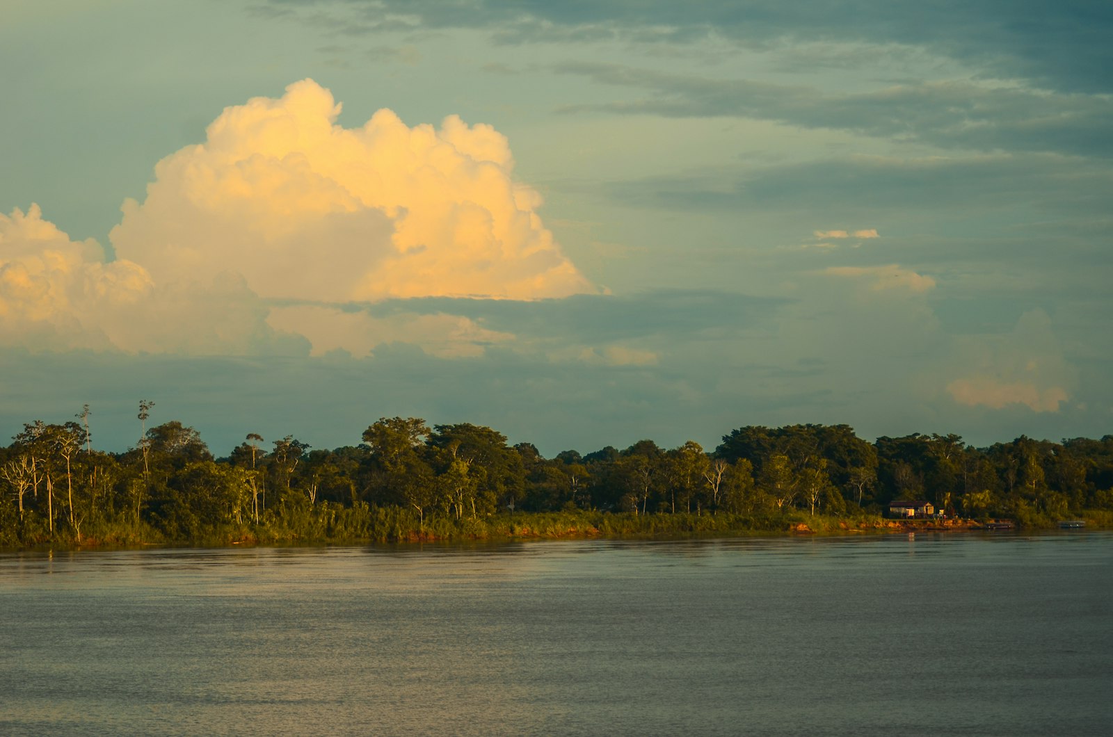 What is Cauim Beer? The Ancient Amazonian Manioc Brew of the Tupi-Guaraní