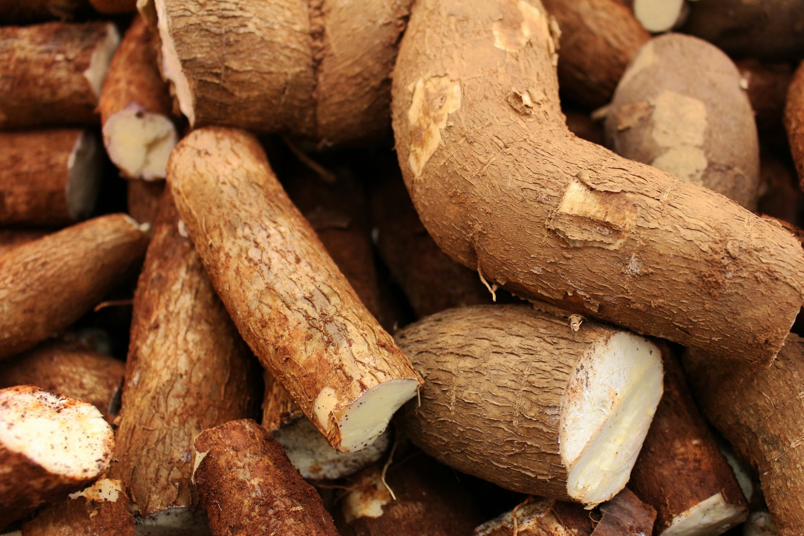 How to Brew Cauim Beer at Home: A Complete Recipe and Guide