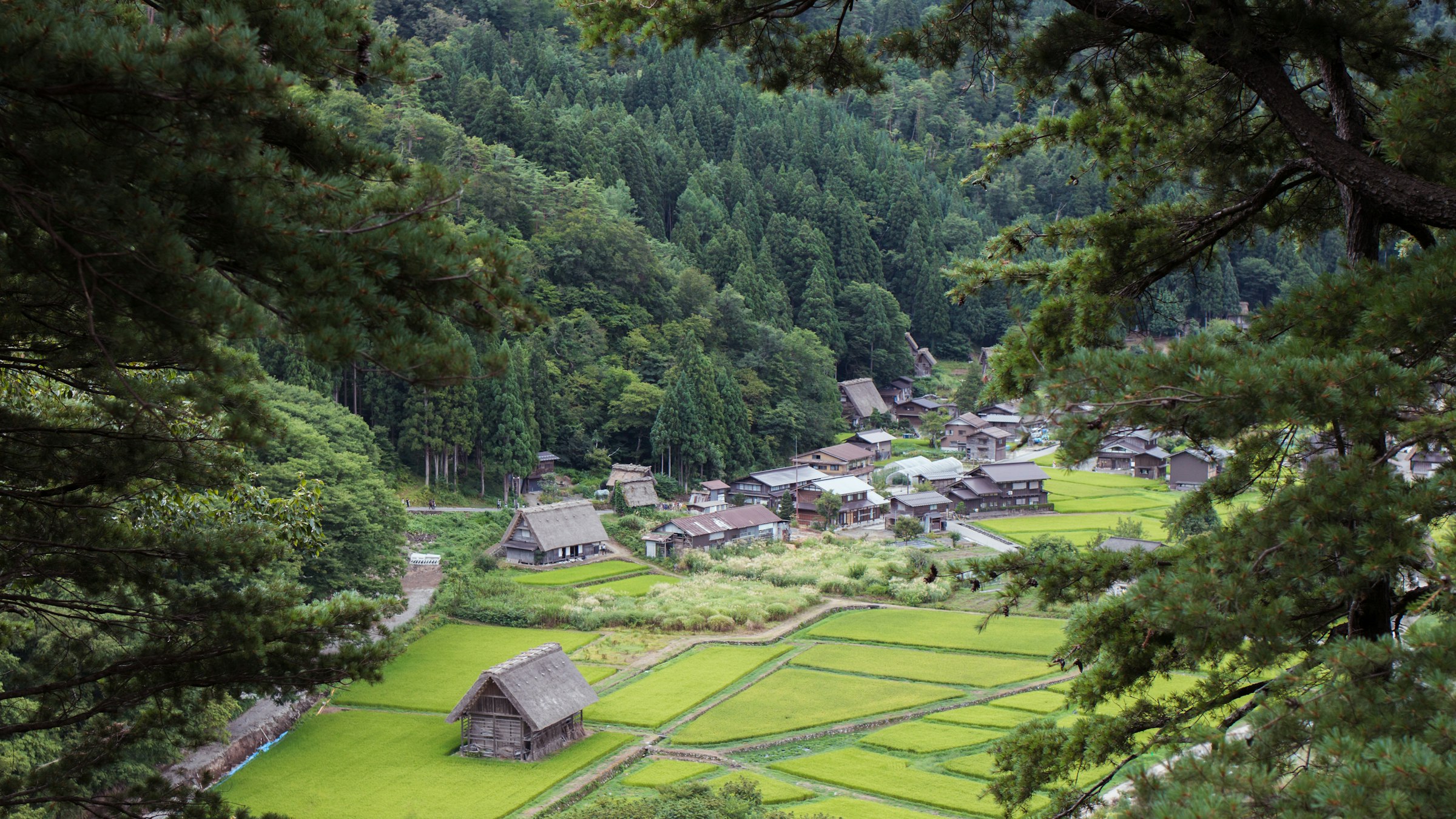 What is Doburoku Beer? Japan’s Ancient Unfiltered Farmhouse Rice Brew