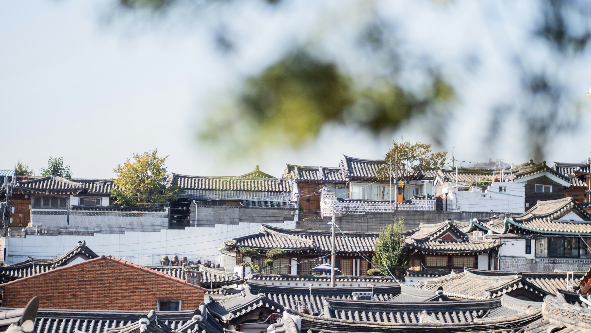 What is Makgeolli Beer? Korea’s Ancient Unfiltered Rice Brew