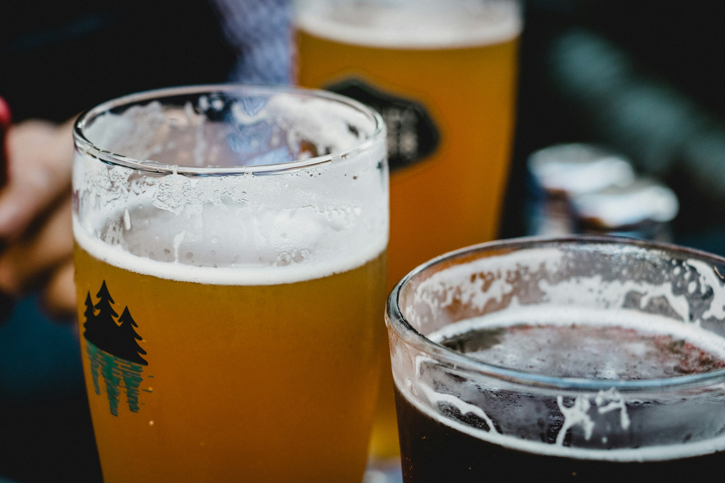Three pilsner glasses filled with golden lager